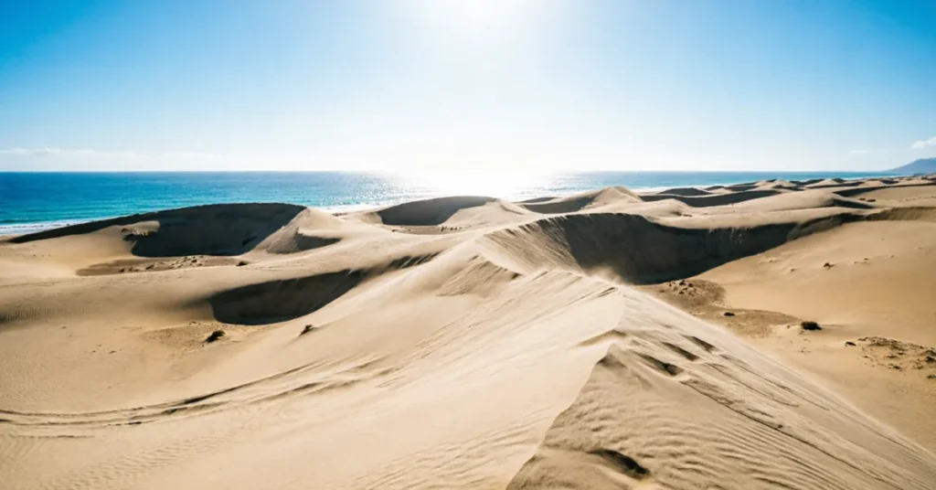 Corralejo sand dunes with Atlantic Ocean view - vast sun-bleached desert landscape in Fuerteventura