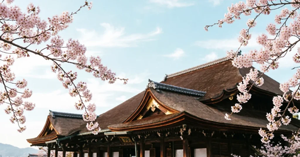 Cherry blossom branches framing traditional Kyoto temple rooftop in spring